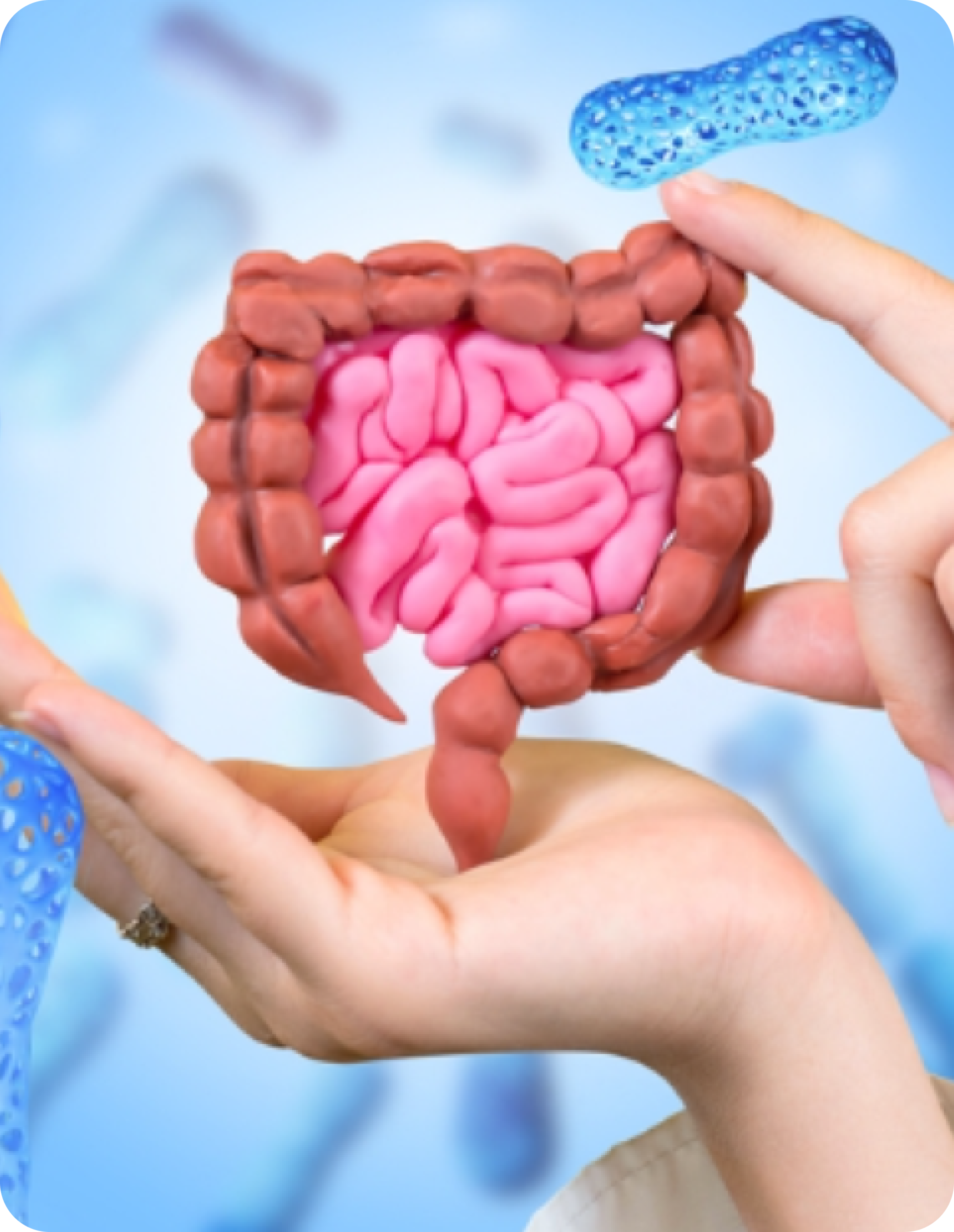 Our Approach to Gut Health